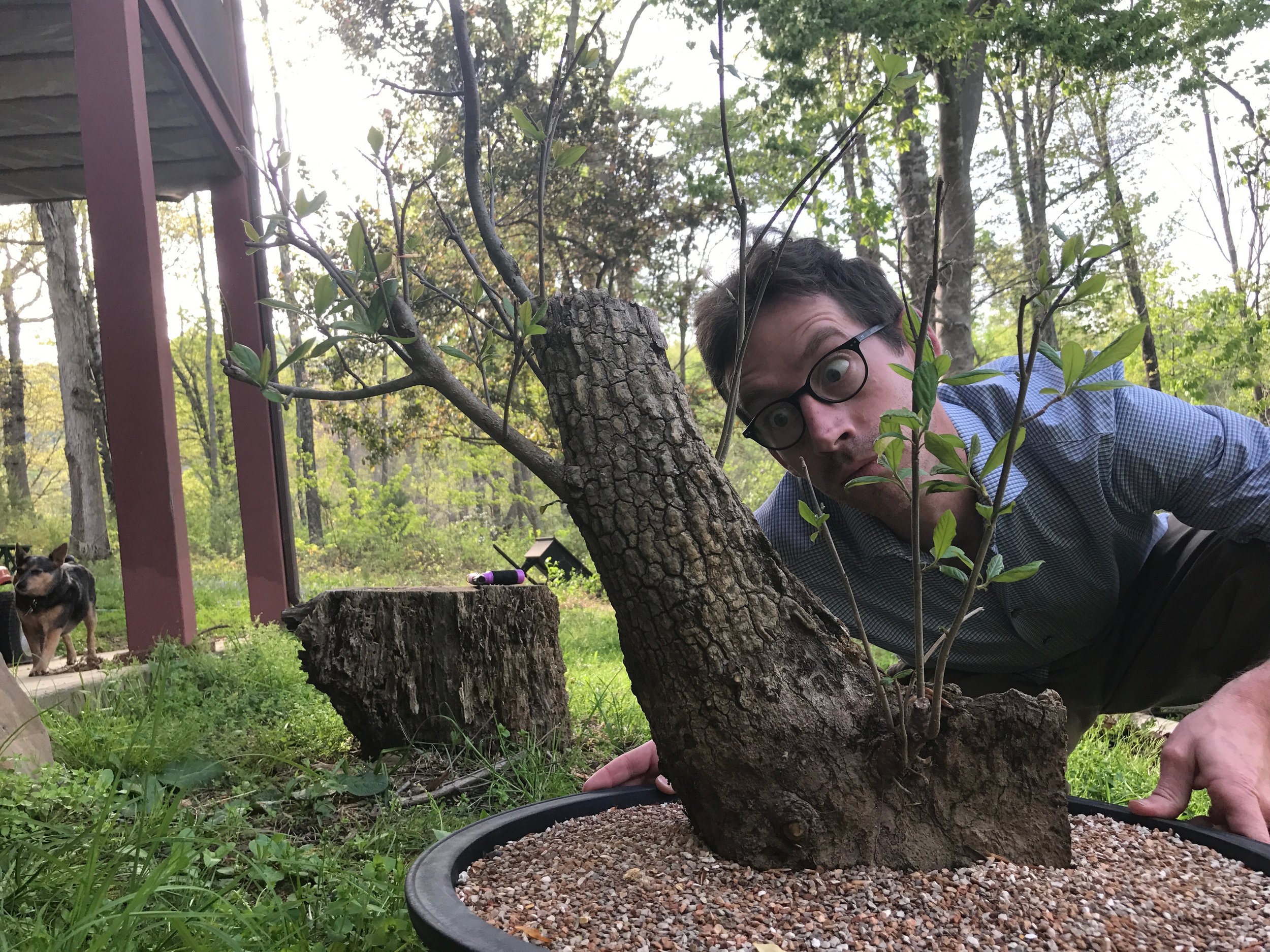 Ben Kirkland of Appalachian Bonsai
