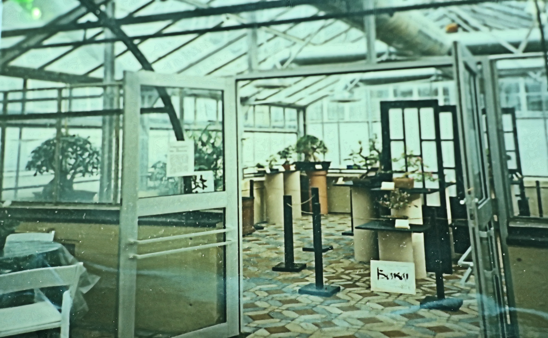 The original Bonsai Room at the Krohn Conservatory