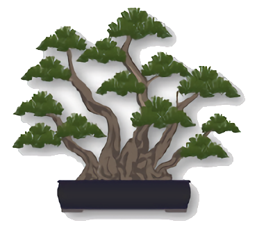 A clump style bonsai tree.