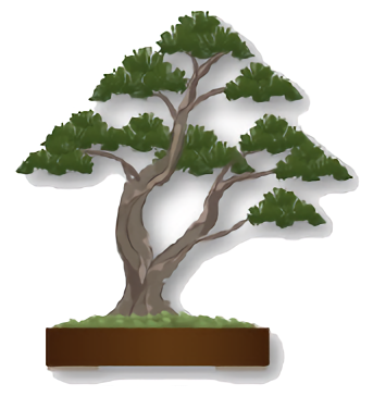 A twin-trunk bonsai tree.