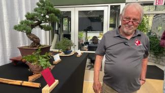 Embedded thumbnail for 2025 BSGC Fall Show Tree Critiques