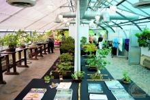 Krohn show image